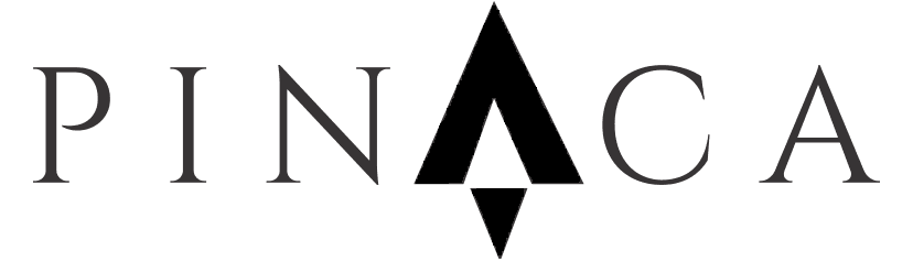 Company 7