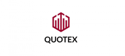 image logo