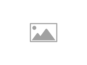 Certificate Preview
